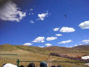 草原蓝天与帐篷风光