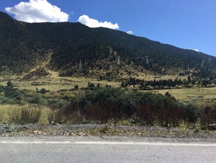 公路旁的山野风景