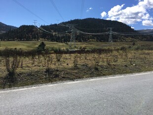 公路旁的开阔山野风光