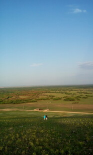 广阔田野上的孤独身影