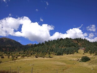 蓝天绿野山林美景