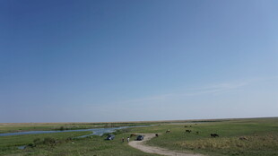 草原风光中的蜿蜒河流