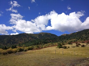 蓝天白云下的山野风光