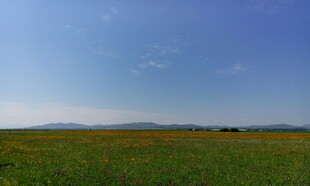 广袤草原蓝天美景