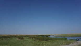 广袤草原上的宁静水域