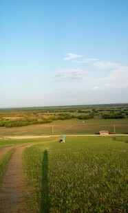 田野小径上的悠然漫步