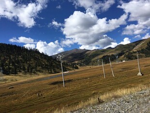 草原上的输电线路景观