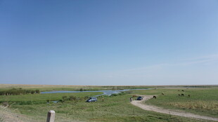 广袤草原中的开阔水域