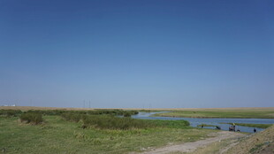 草原河畔风光