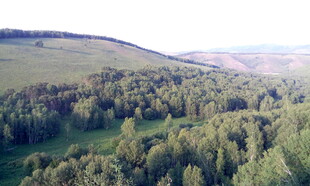 俯瞰葱郁山林美景