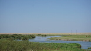 湿地风光 宁静自然之景
