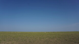 广袤草原与湛蓝天空