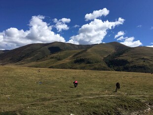 草原上的漫步身影