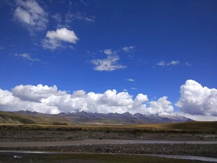 蓝天白云下的广袤原野