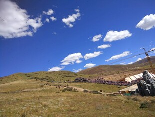 草原风光与远处建筑景观