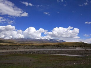 蓝天白云下的广袤原野