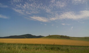 广袤草原与蓝天美景