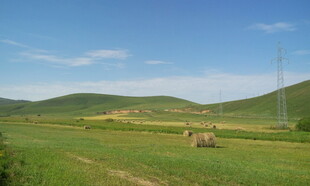 田园风光中的悠闲田野