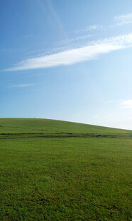 广袤绿原 蓝天相伴