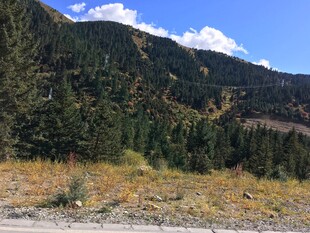 山间秋景 自然风光秀丽