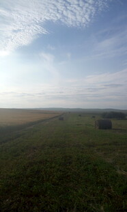 广袤草原上的晴朗天空