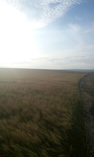 广袤原野上的开阔风景