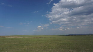 广袤草原上的蓝天白云