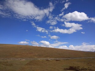 蓝天旷野自然美景