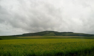 广袤草原上的阴云密布