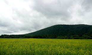 绿野青山间的壮阔风景