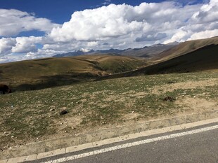 公路边的山野风光