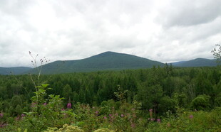 山林绿野间的自然景致