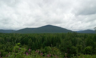 山间绿野 云雾缭绕之景