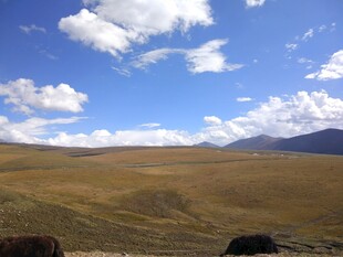 广袤草原上的蓝天白云