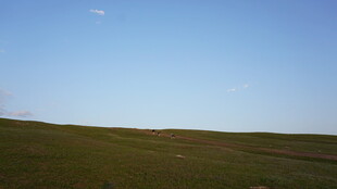 草原蓝天 静谧自然风光