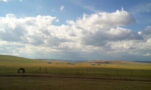 草原蓝天骏马风景如画