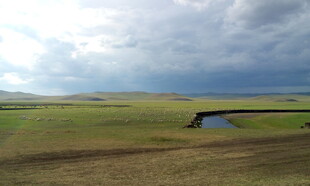 草原风光中的静谧小水洼