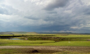 草原上的多云天空景观
