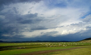 草原上的多云天空景观