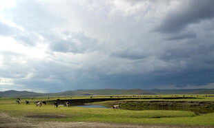 草原上的多云天空景观