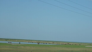 广阔原野上的宁静风光