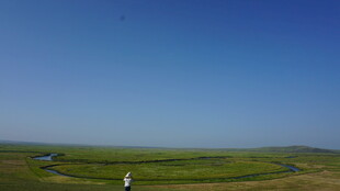 草原上的独行者