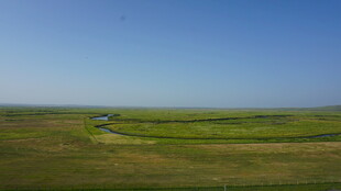广袤草原上的蜿蜒河流