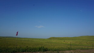 草原上的孤独身影