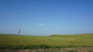 草原蓝天风景