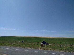 公路旁绿野上的黑色车辆