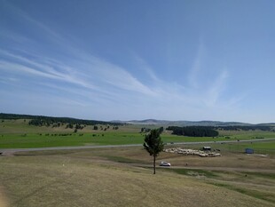 广袤草原上的孤树风景