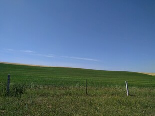 广阔草原与蓝天