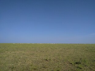 广袤草原 蓝天无垠
