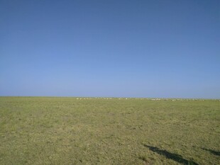 广袤草原与湛蓝天空